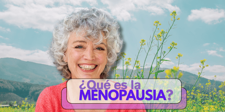 Qué es la menopausia guía menopausia
